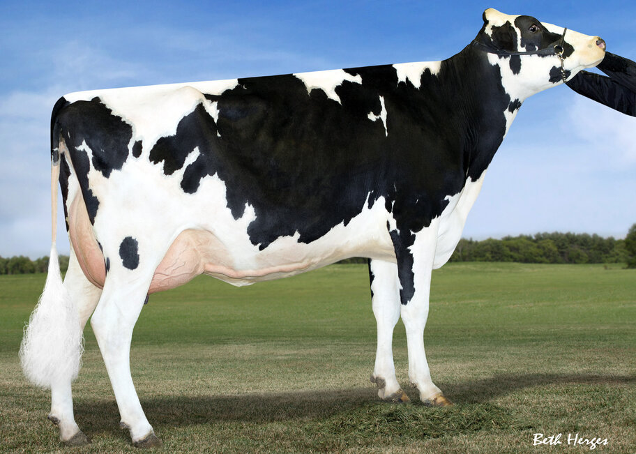 5.M: B-Enterprise Super Gigi VG-88