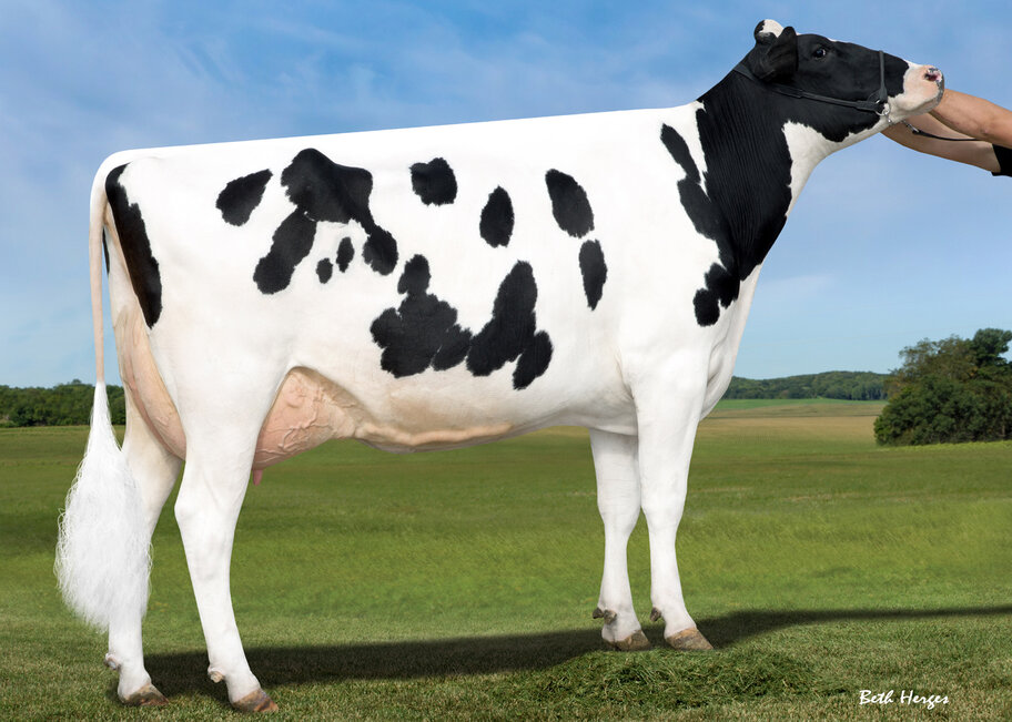 5.M: Sandy-Valley Nu Precious VG-88