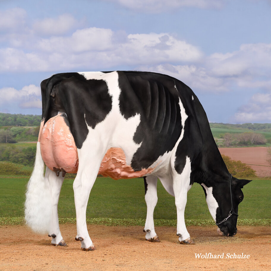 M: GTB Malena EX-94