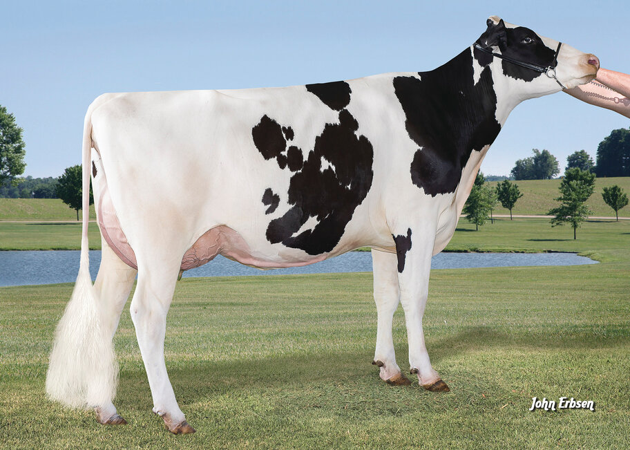 4.M: Ronelee S-S-I Legendary Mist 8254 VG-87