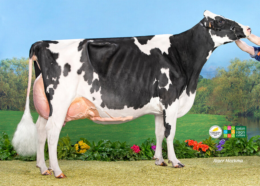 GM: Wilt Emy EX-95