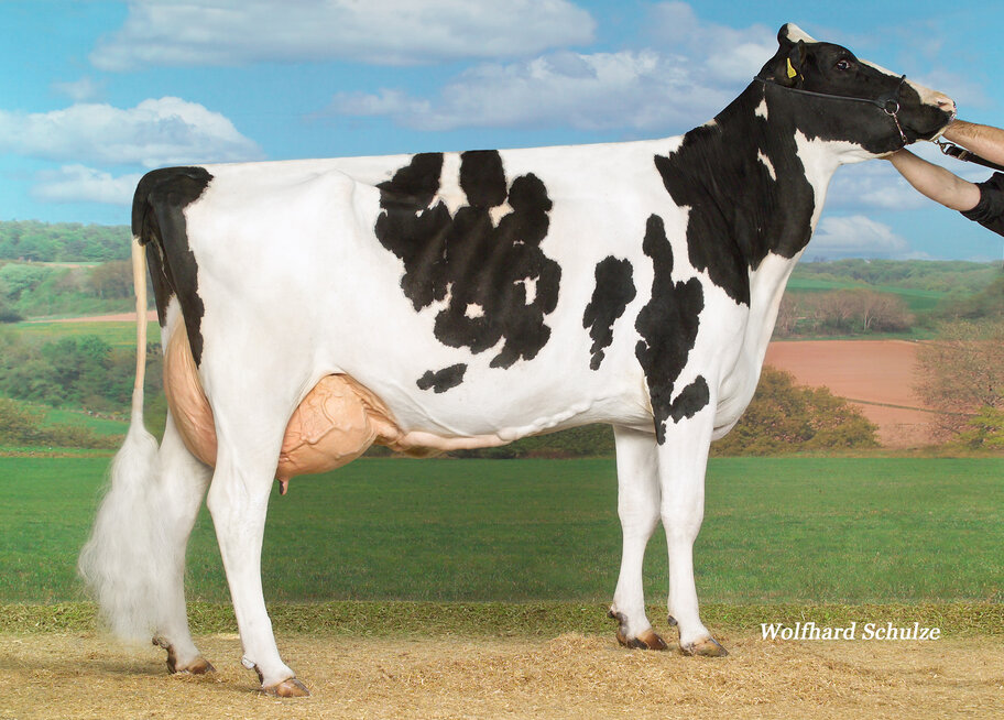 4.M: BcH September Sofie VG-88