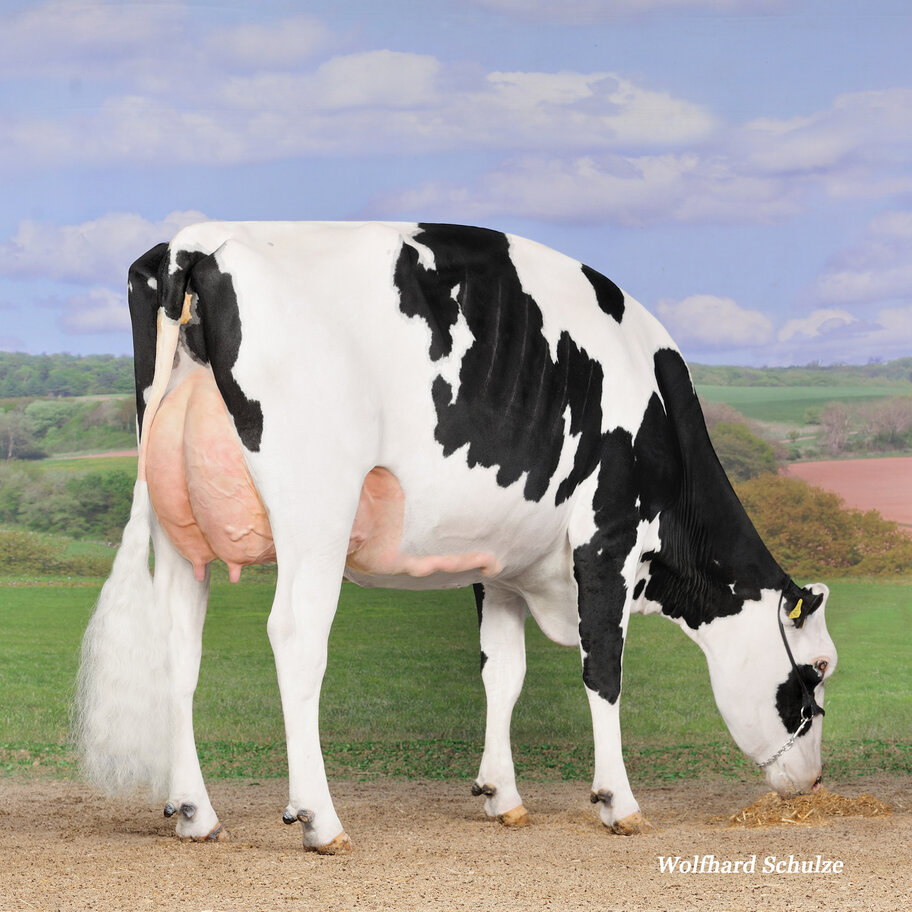 M: Les Verdaux Hitman Tinkerbel VG-89