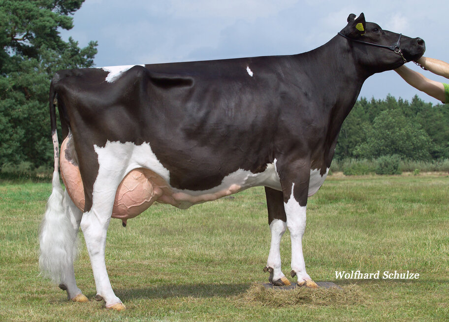 GM: Ellen EX-93