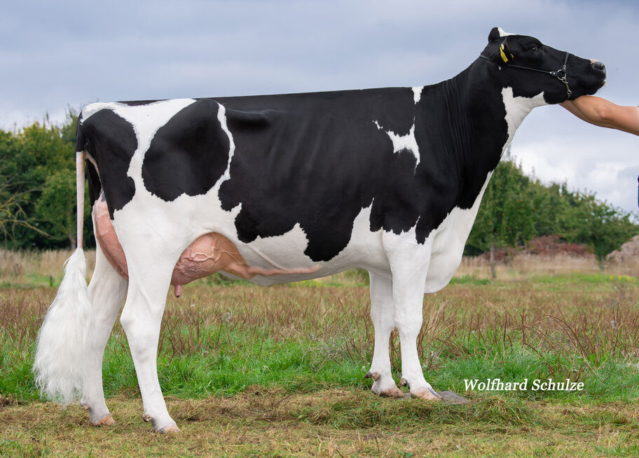 M: Samara VG-86