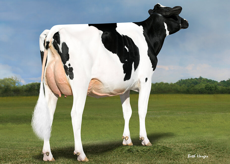 5.M: Regan-Danhof Jedi Cashmere VG-88