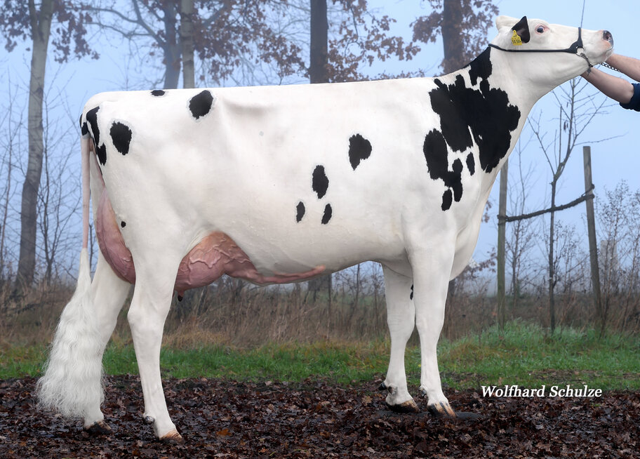 4.M: WEH Kerrigan Lucia VG-87