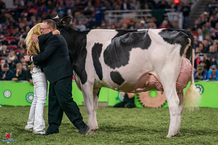 Halbschwester zur M: Floydholm MC Emoji EX-95