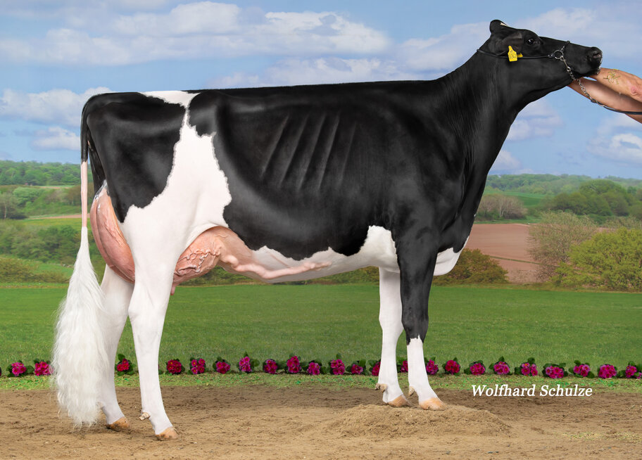 M: FG Michelle EX-90