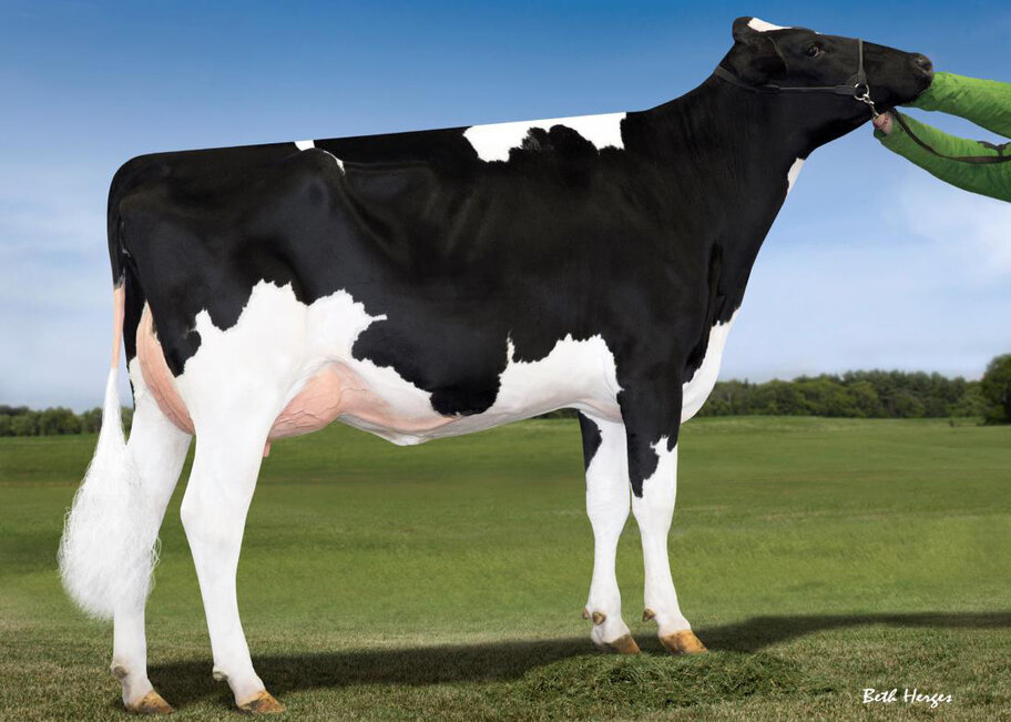 6.M: Farnear-TBR-BH McCutchen Georgia VG-87