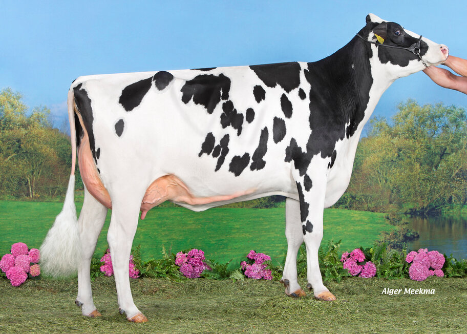5.M: Koepon Silver Classy 228 VG-85