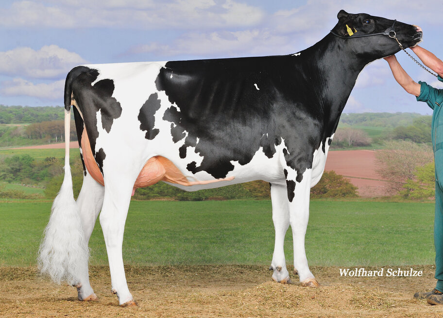 M: UHG Amazing EX-90