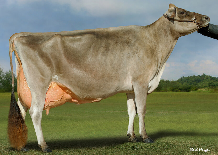 GM: Woodmohr Marlos Ultra Divine EX-95