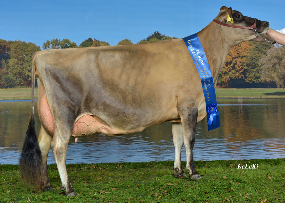UGM: Jara EX-94