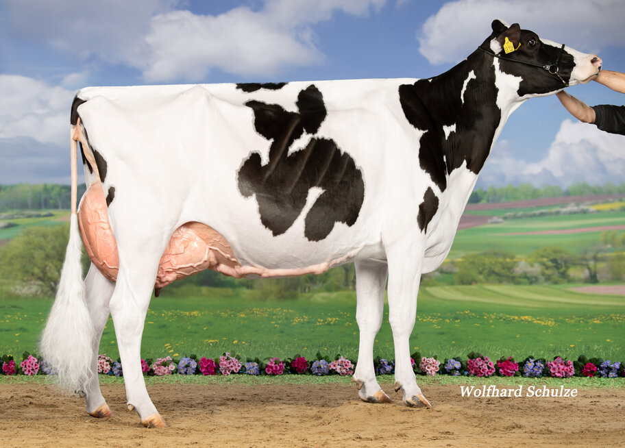 Gread granddam: Mar Pepsi EX-90