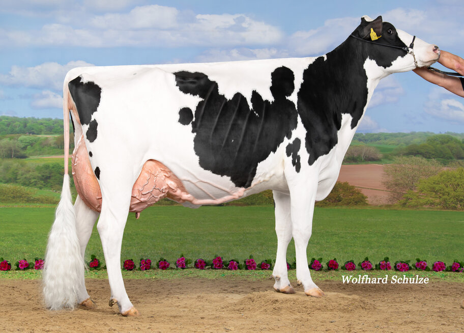 M: Insemarie EX-90 (91 MS)