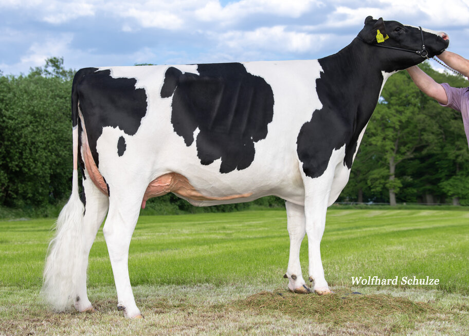 M: WEH Bonny VG-87