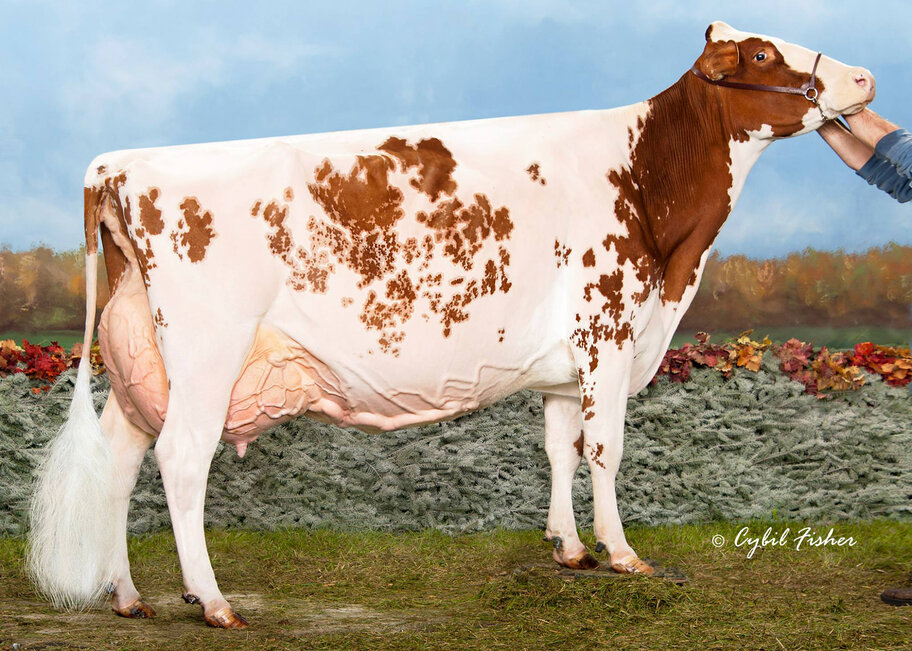 UGM: Blondin Redman Seisme-Red EX-97 (99 MS)