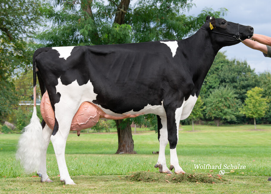 UGM: MZF Anna EX-90