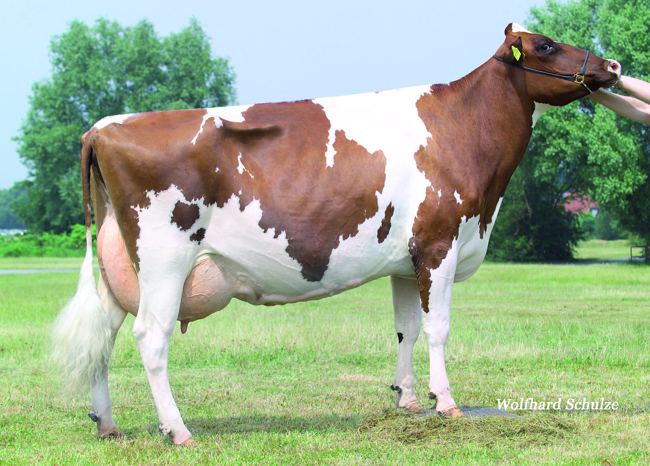 UGM: Feuer EX-93