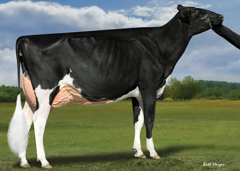 GM: Fraeland Doorman Bonnie EX-94
