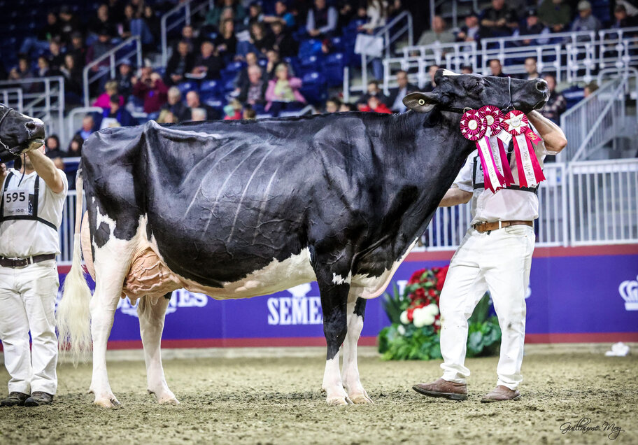 Halbschwester zur M: Jacobs High Octane Babe EX-96