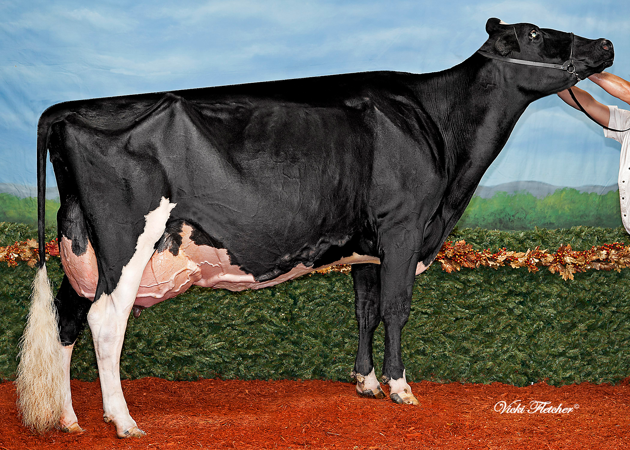 GM: Jacobs Goldwyn Britany EX-96