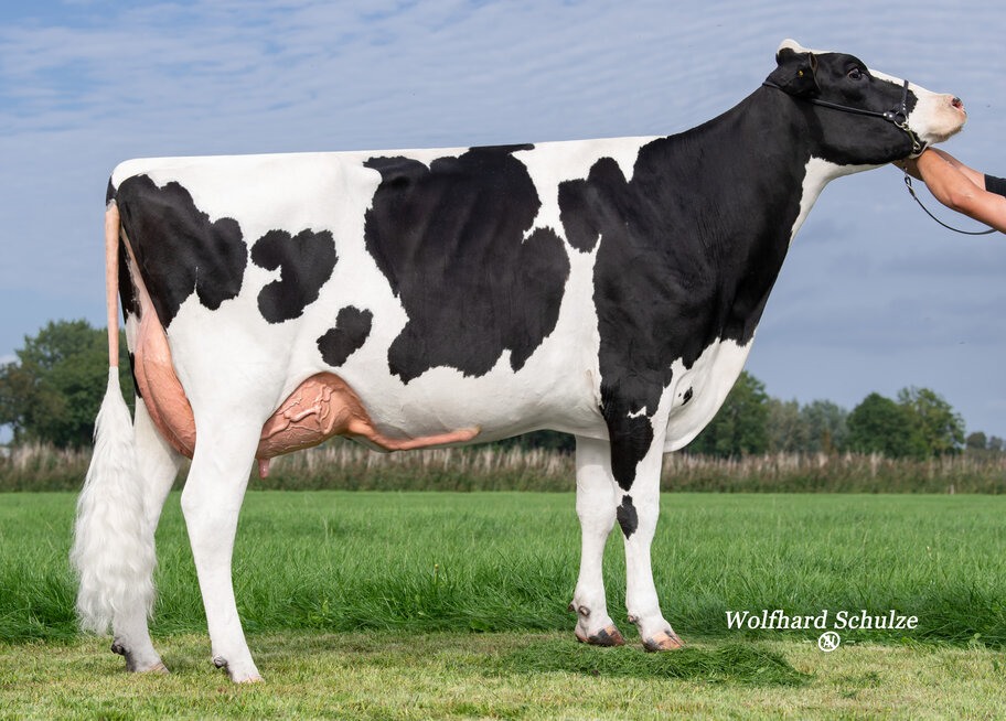 GM: Marathon VG-87 (88 MS)