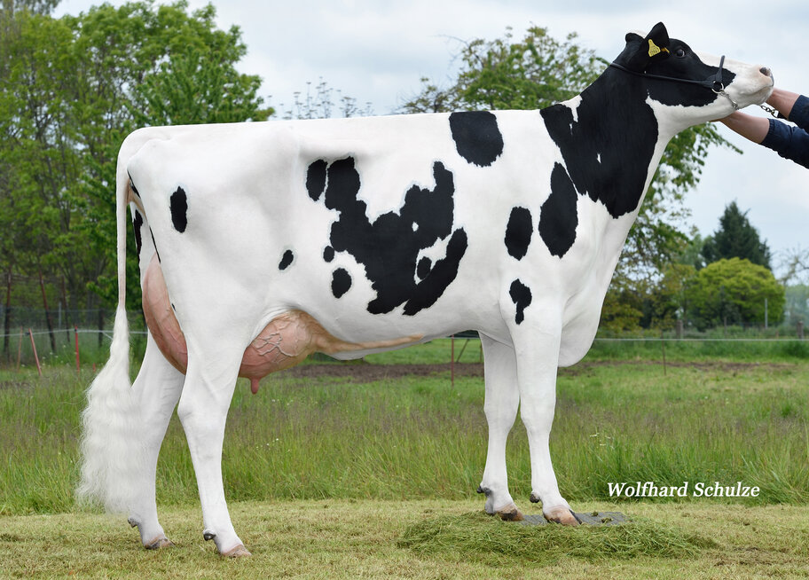 4.M: SHA Rubicon Grumeti VG-87