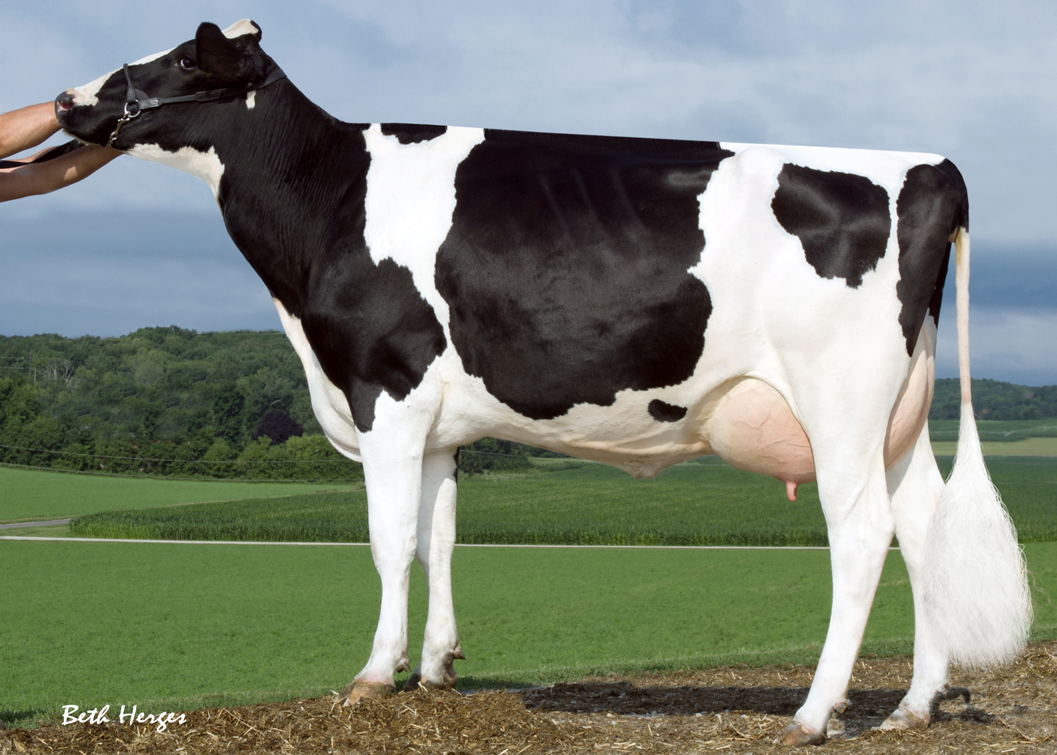 8.M: Sandy-Valley Plane Sapphire VG-87