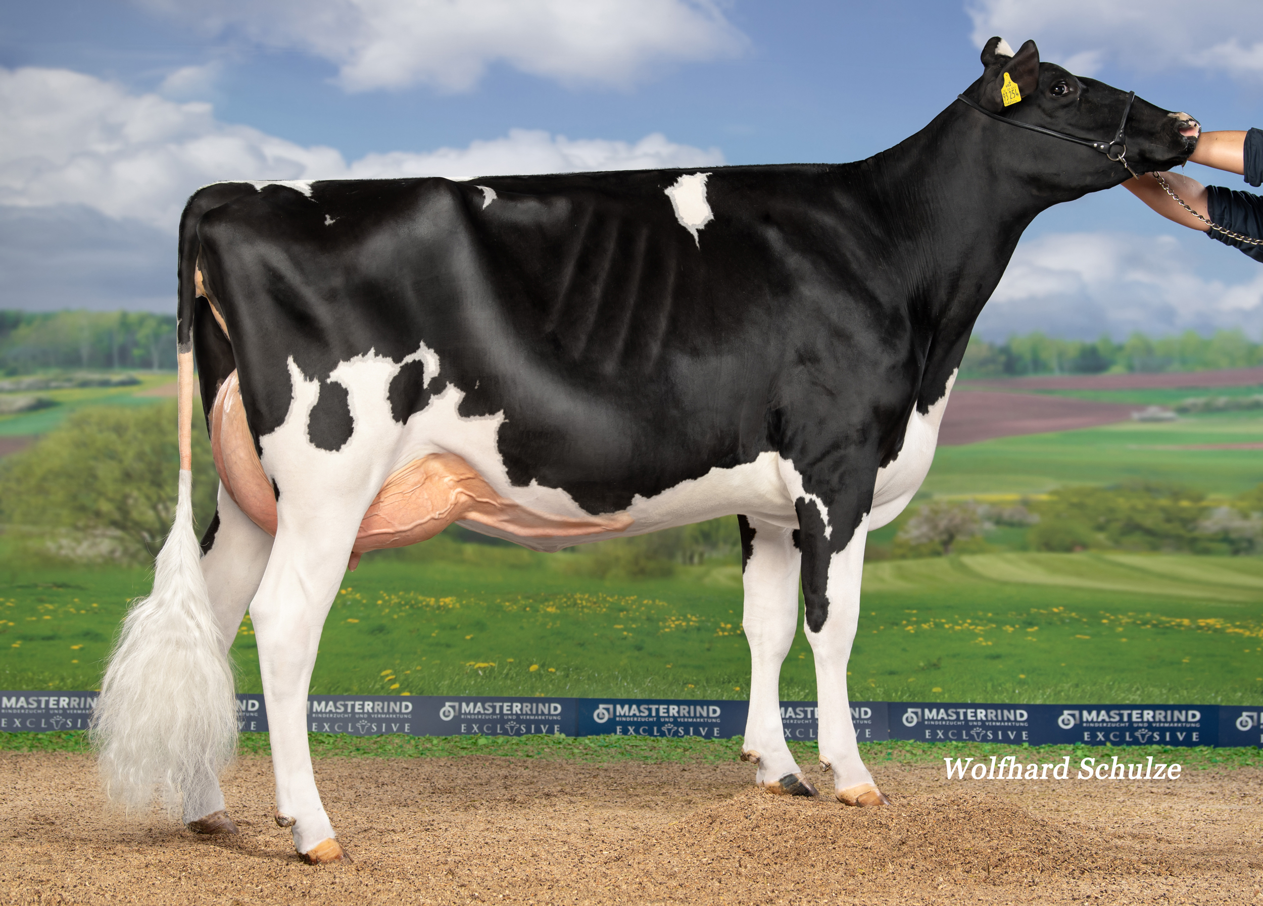M: GHH Anna VG-85