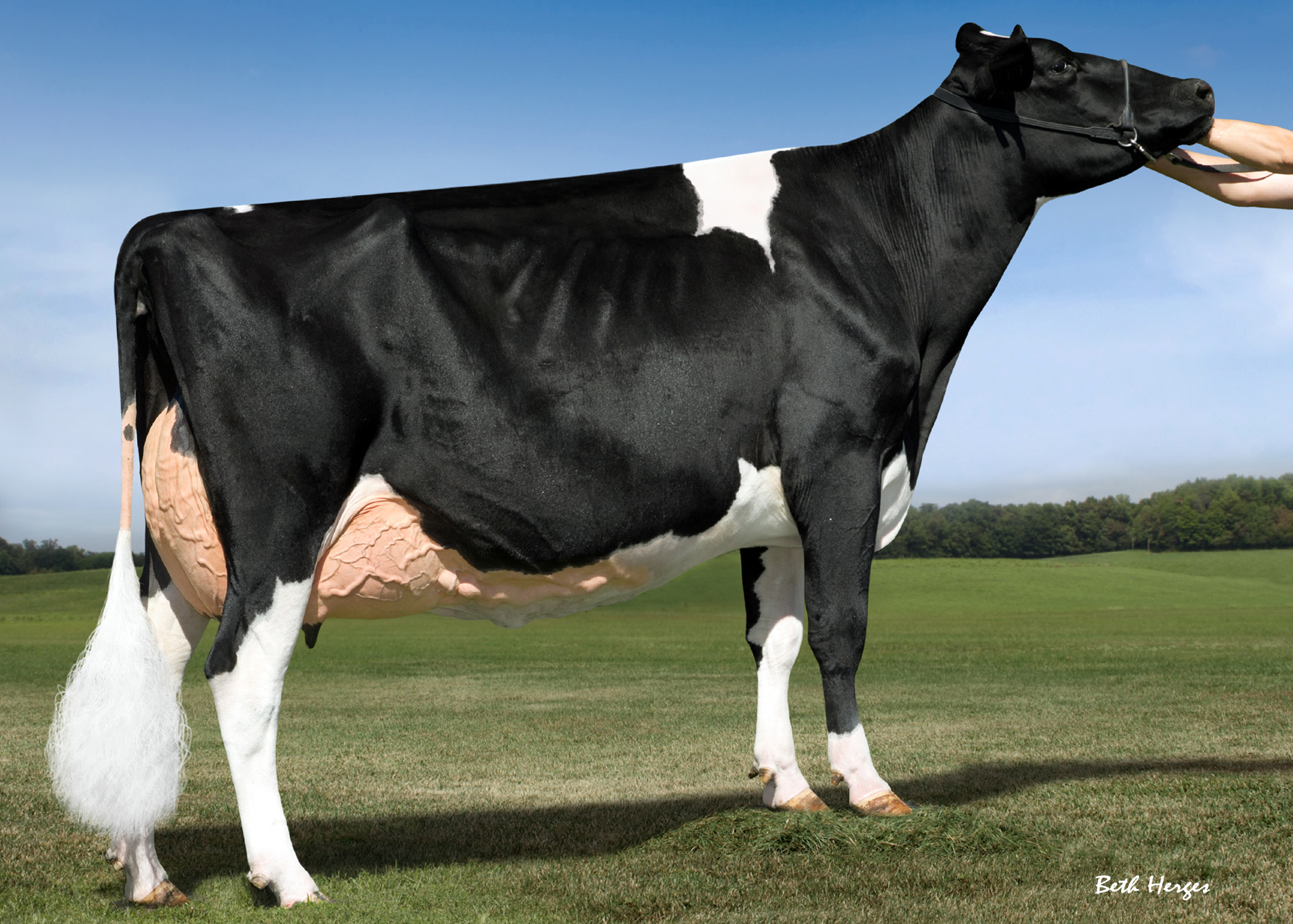 UGM: Le-O-La Atwood Gypsy EX-92