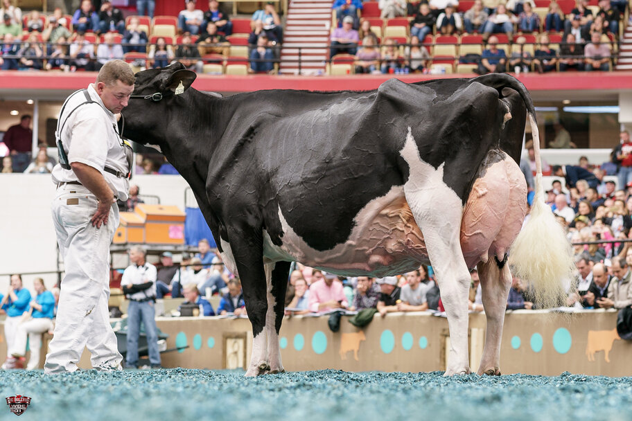 UGM: Rosiers Blexy Goldwyn EX-97