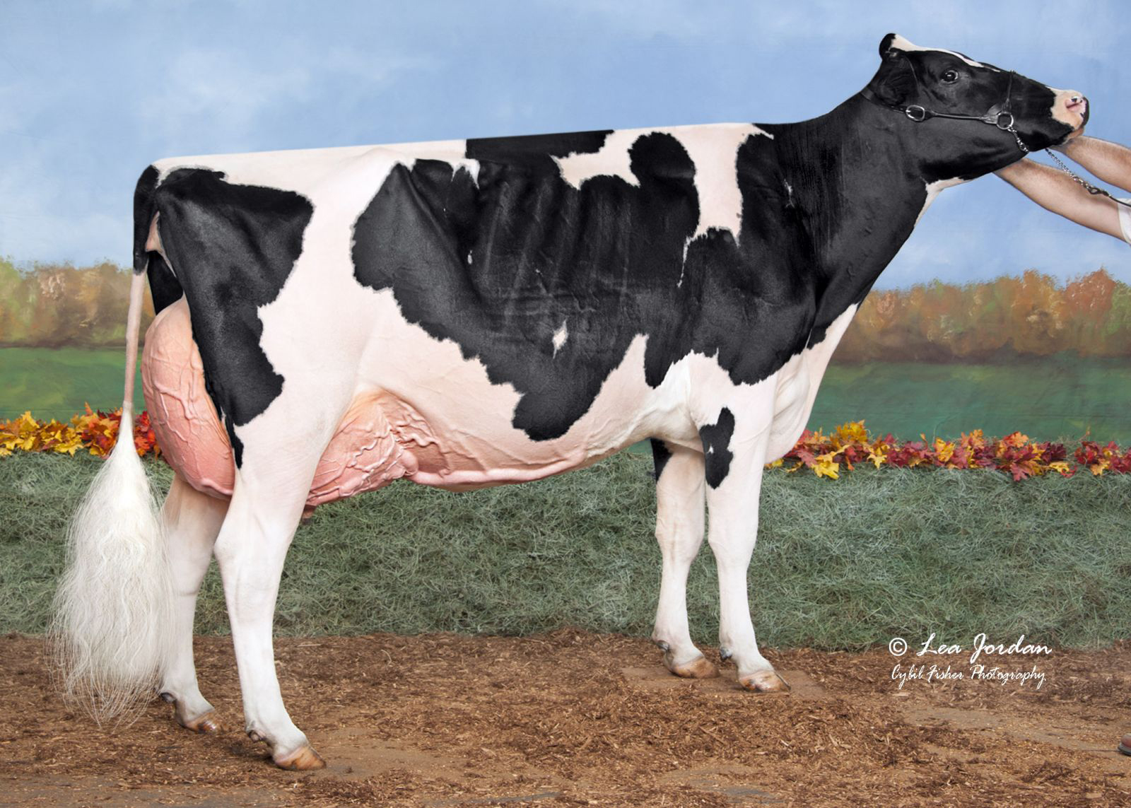 GM: MS Sid Blexy EX-94