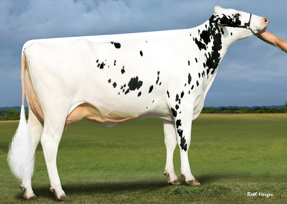 6.M: Westcoast Penman Aria 3774 VG-87