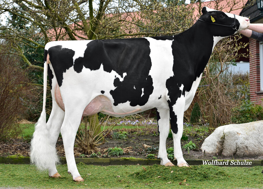 4.M: Jedi Beline VG-89