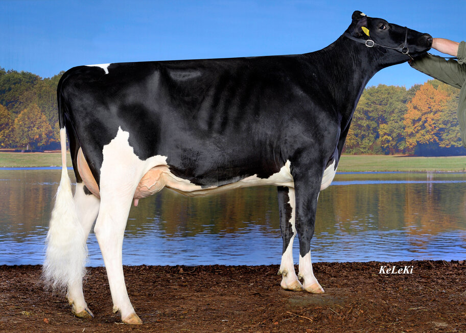 7.M: Freddie Katinka VG-86