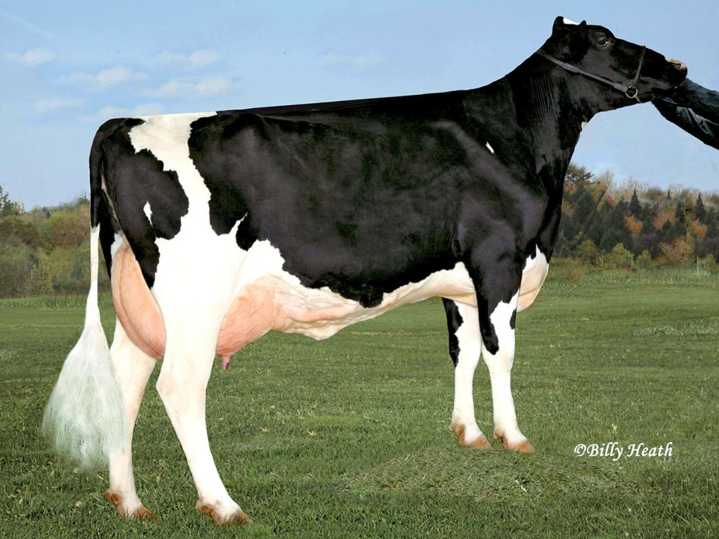8.M: Hammer-Creek G Kristina VG-86