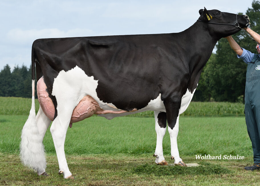 GM: GCG Maserati VG-86