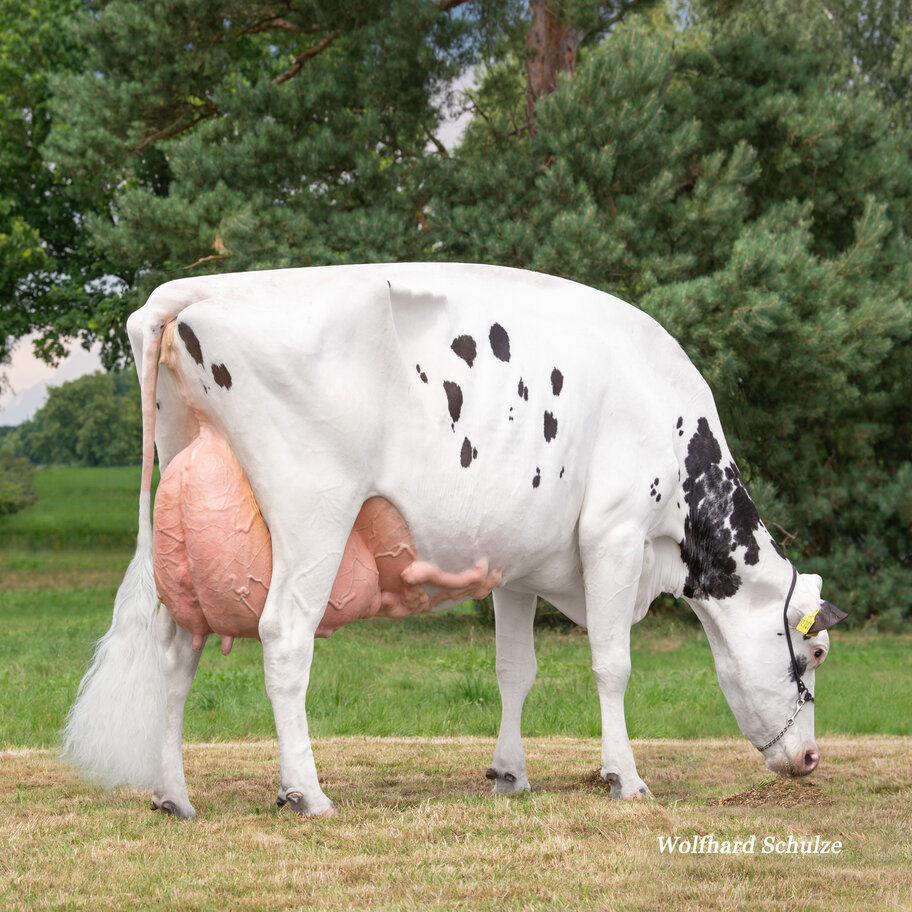 GM: Iowa EX-93