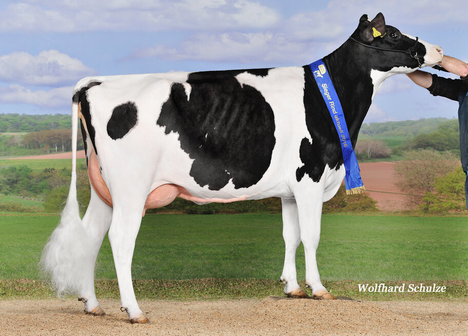 UGM: Midland VG-87 (88 MS)