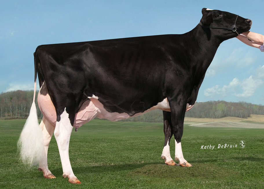 GM: Gloryland-I Goldwyn Locket EX-94