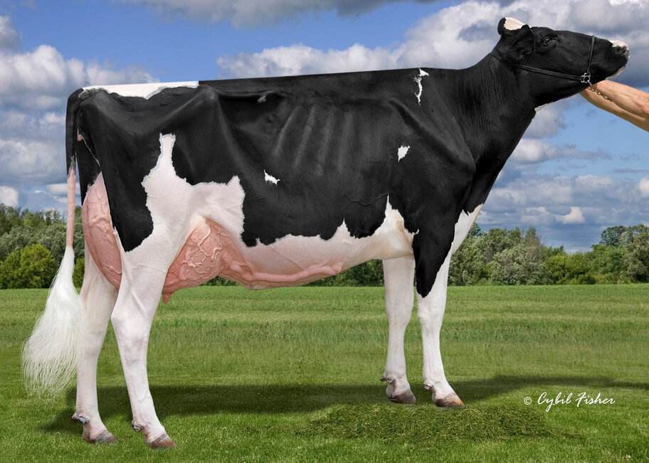 M: Kevetta Daniel Lexi EX-94