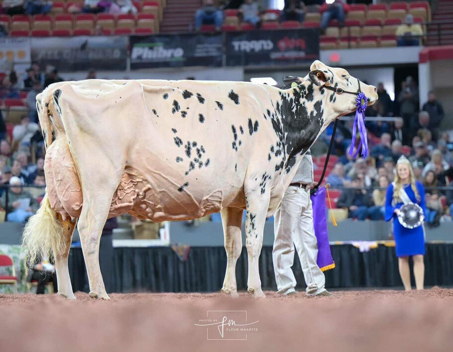 Halbschwester zur M: Erbacres Snapple Shakira EX-97
