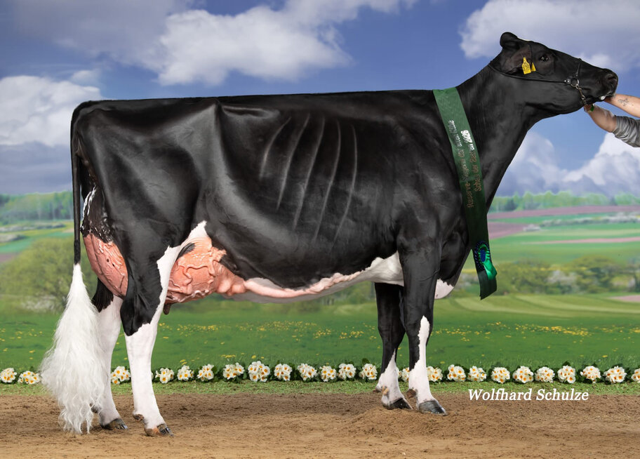 GM: MO Loh Inteam EX-94