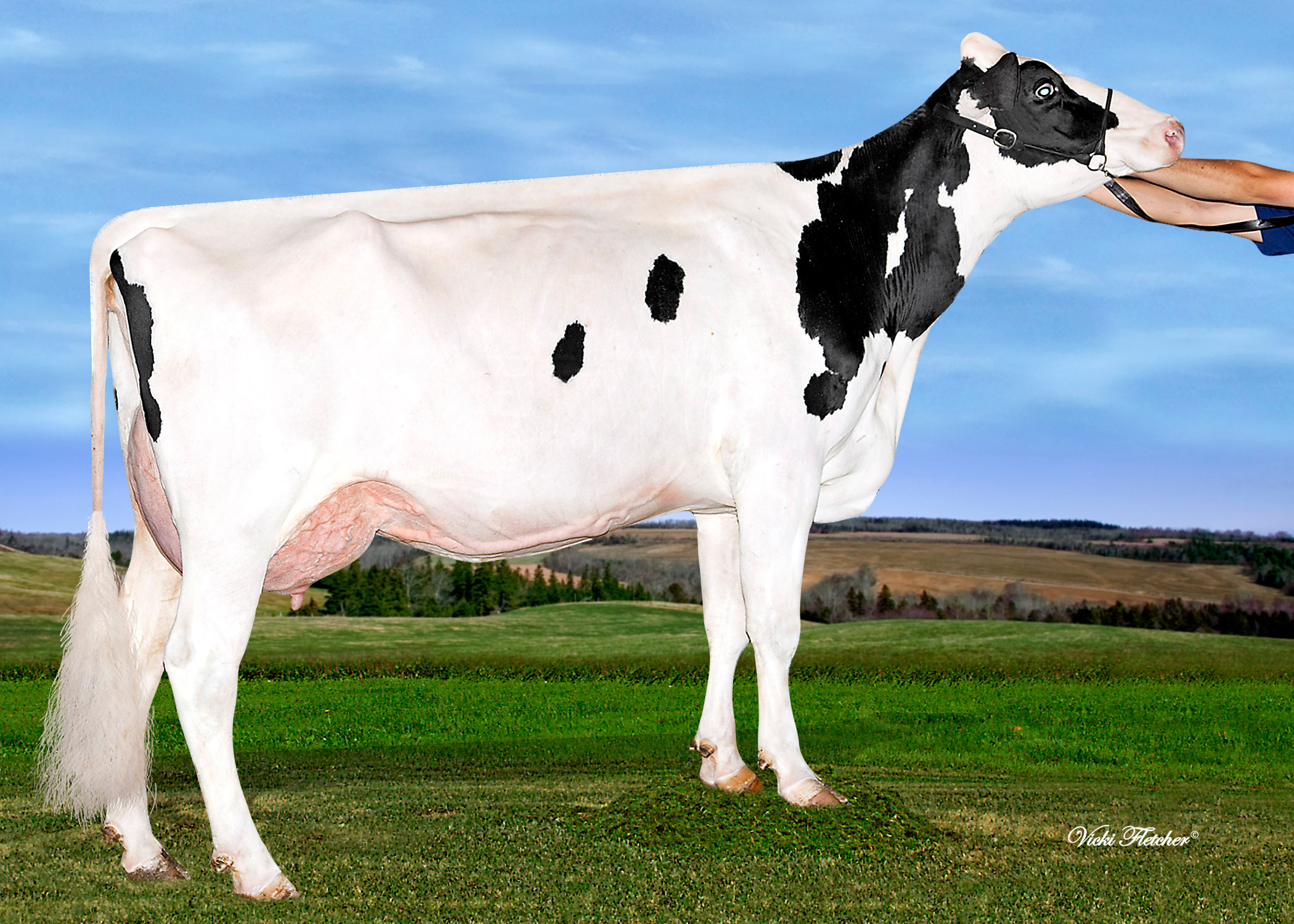 6.M: EDG Lacy Shotglass 748 VG-85