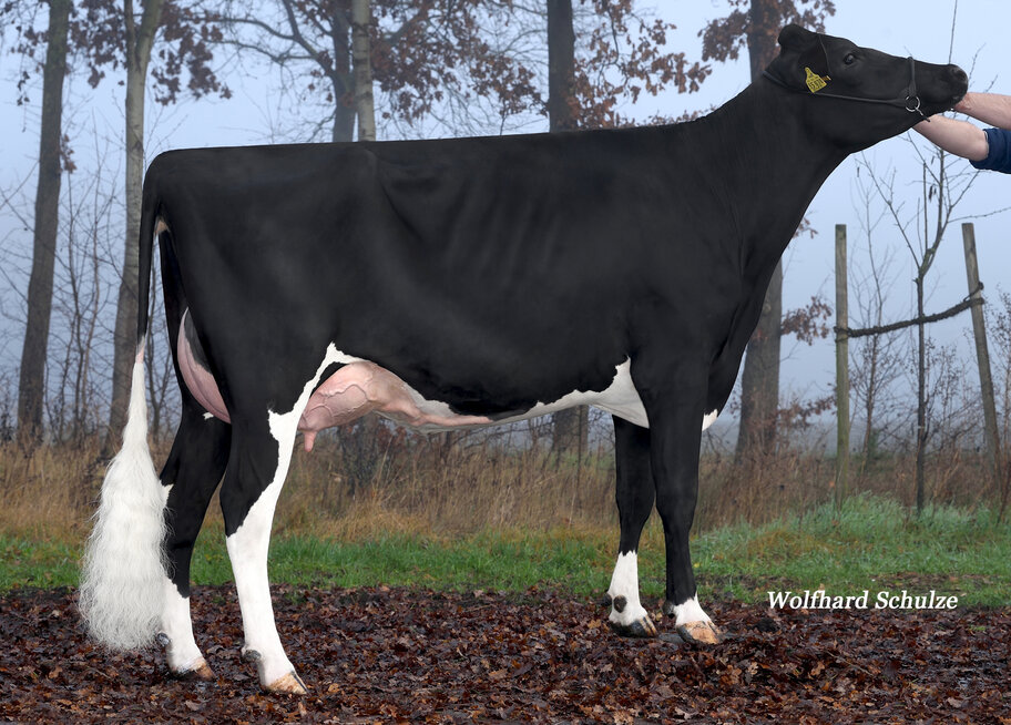 4.M: WKM Superhero Ladyliz Mr VG-88