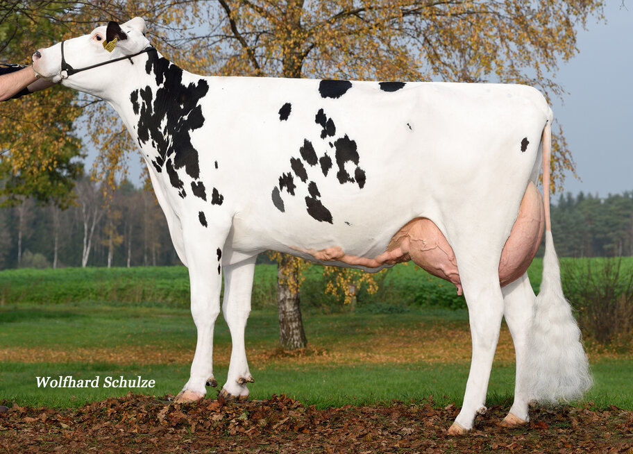 5.M: Kerrigan Canada VG-87
