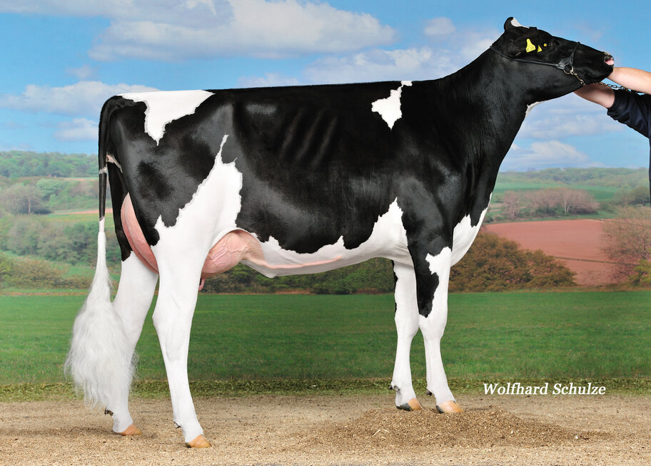 6.M: HO Bookem Peggy VG-87