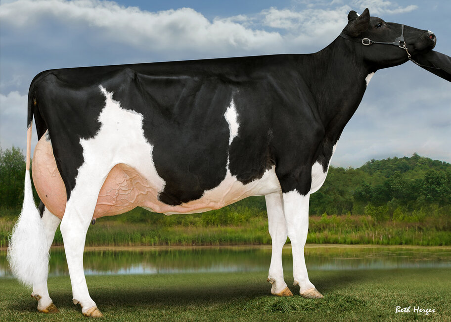 GM: Macland HF Yoder Rachel EX-96